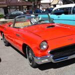 DSC_0160_00117 (October 07, 2023)